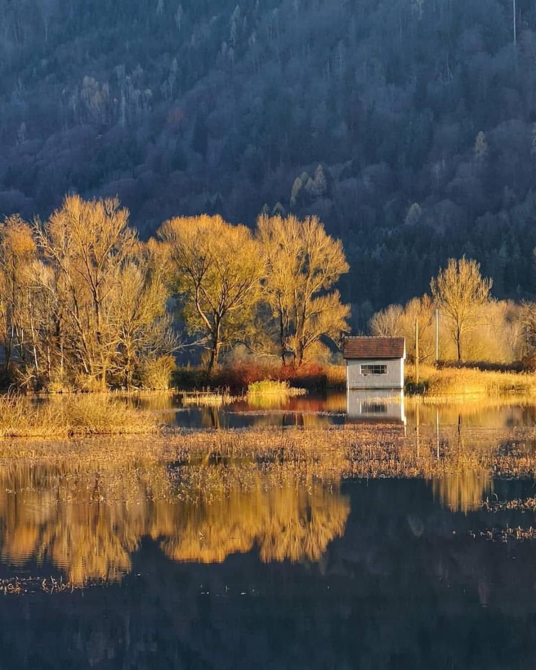 Ferienwohnung Resi Mit Traumhaftem Seepanorama Щайндорф ам Осиахер Зее Екстериор снимка