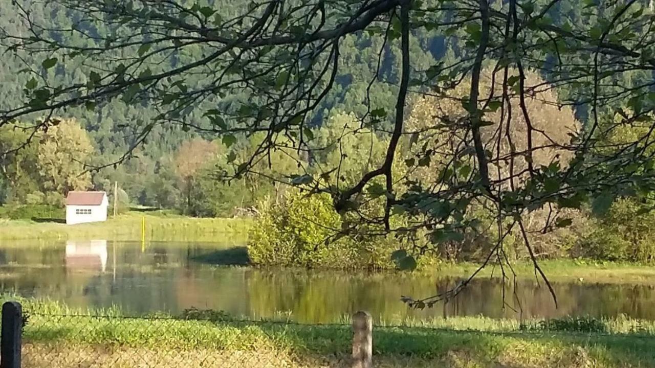Ferienwohnung Resi Mit Traumhaftem Seepanorama Щайндорф ам Осиахер Зее Екстериор снимка