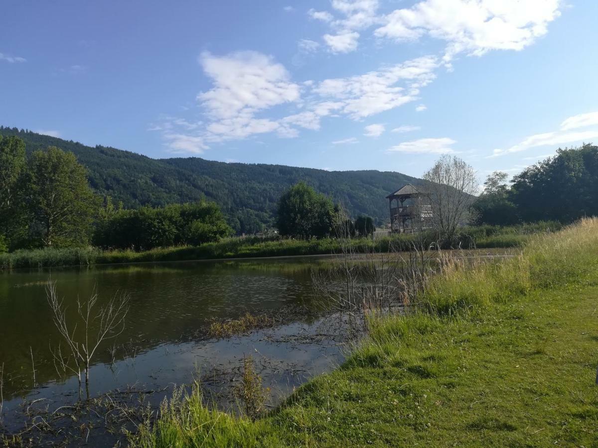 Ferienwohnung Resi Mit Traumhaftem Seepanorama Щайндорф ам Осиахер Зее Екстериор снимка